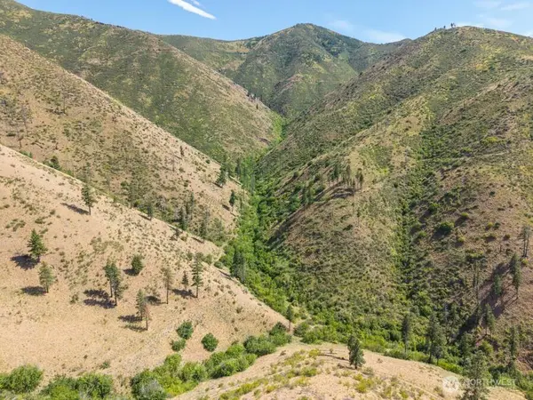 4 Lot Mills Canyon RD, Entiat, WA 98822