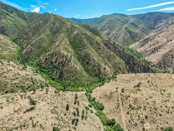 4 Lot Mills Canyon RD, Entiat, WA 98822
