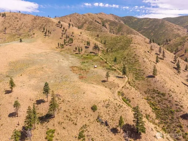 5 Lot Mills Canyon RD, Entiat, WA 98822