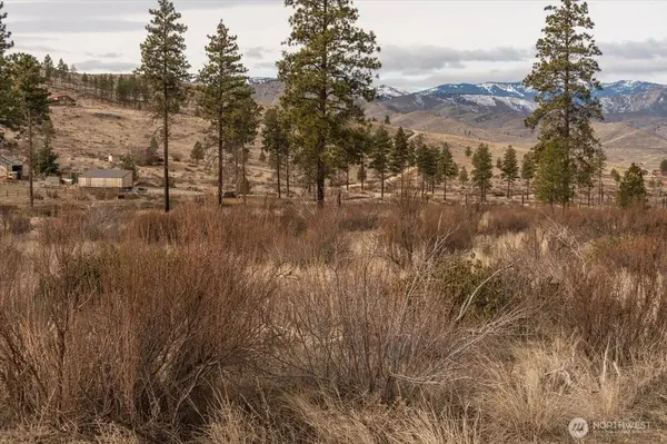 817 Bill Shaw RD, Methow, WA 98834