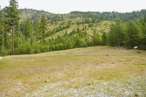4 Lot Mossback LN, Entiat, WA 98822