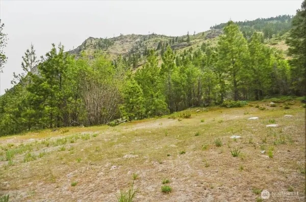 4 Lot Mossback LN, Entiat, WA 98822