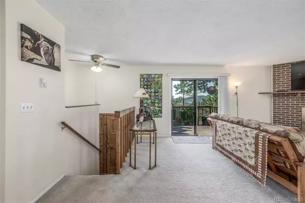 9629 Fallen Rock RD, Conifer, CO 80433