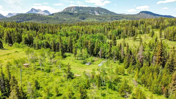 1854 York Creek DR, Blairmore, AB T0K0E0