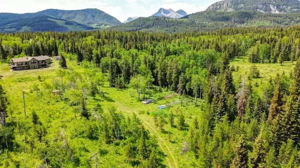 1854 York Creek DR, Blairmore, AB T0K0E0