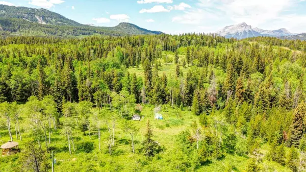 1854 York Creek DR, Blairmore, AB T0K0E0