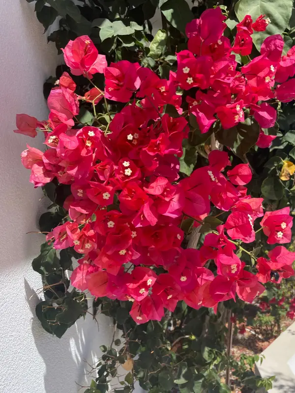 Essential Spring Home Maintenance Tips for Saskatoon Homeowners,Joanne Nagy