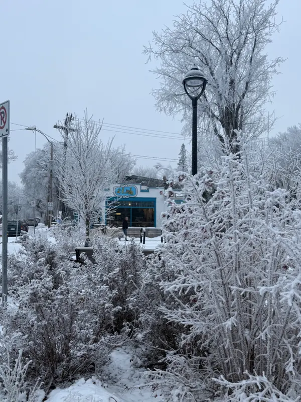 Saskatoon Weather & Real Estate: A Seasonal Buying Guide,Joanne Nagy