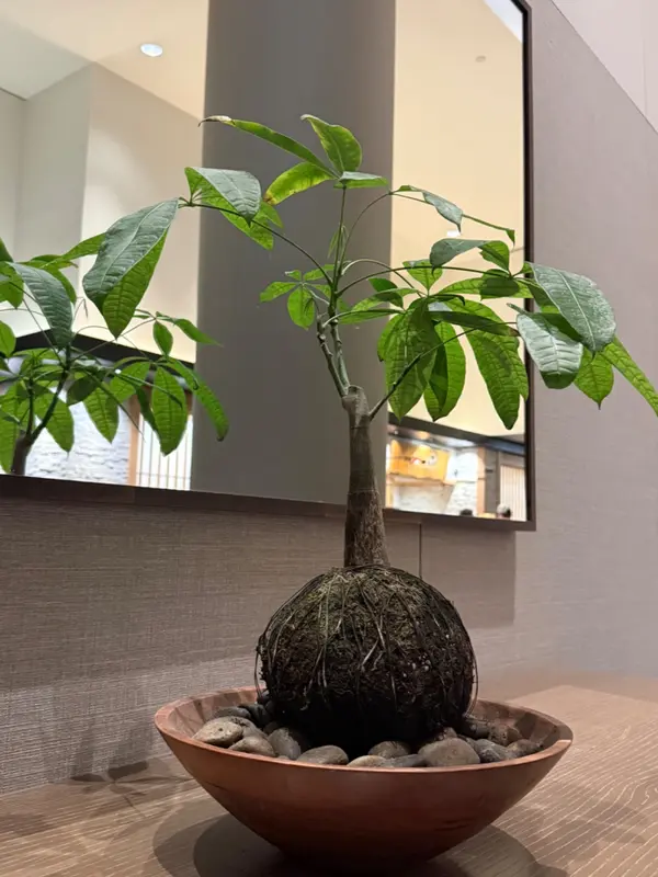 What did the Saskatoon Real Estate Market do in March 2026?