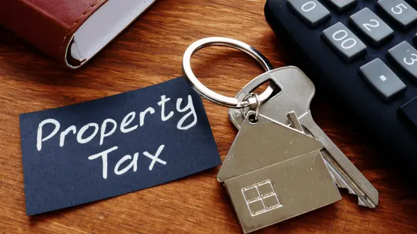 How Do Texas Property Taxes Impact Buying Power?,Delisa Lapinsky