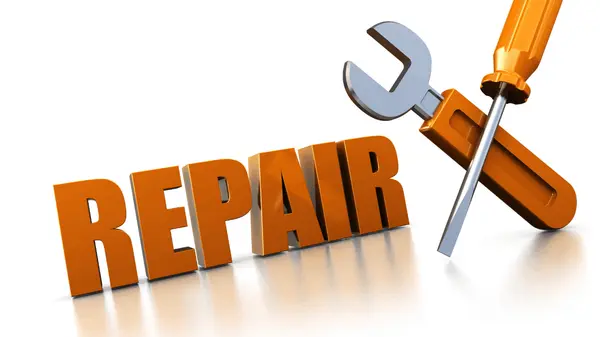 How Much Should Buyers Budget for Repairs After They Buy?,Delisa Lapinsky
