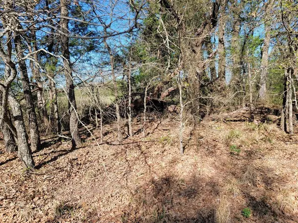 TBD Interstate 45, Streetman, TX 75859