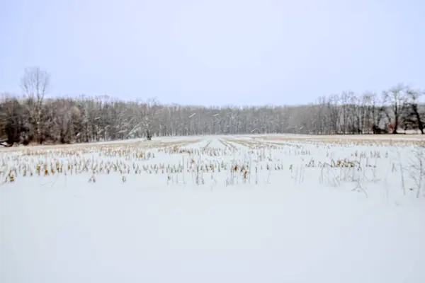 8830 S 43rd S Street, Scotts, MI 49088