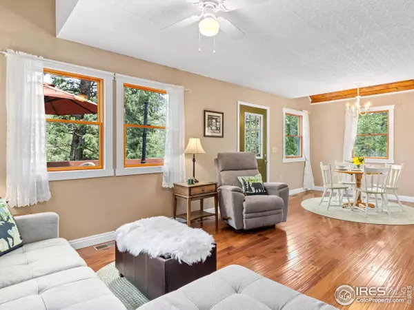 745 Hickory Dr, Lyons, CO 80540