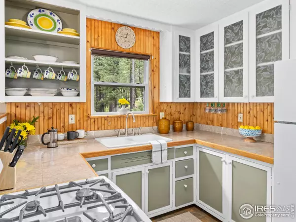 745 Hickory Dr, Lyons, CO 80540