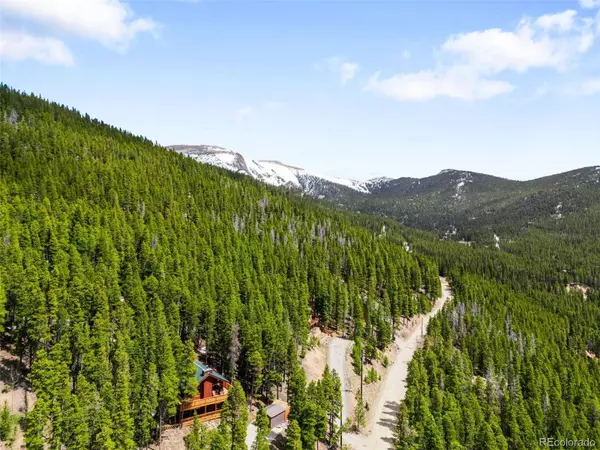 489 Harris DR, Idaho Springs, CO 80452