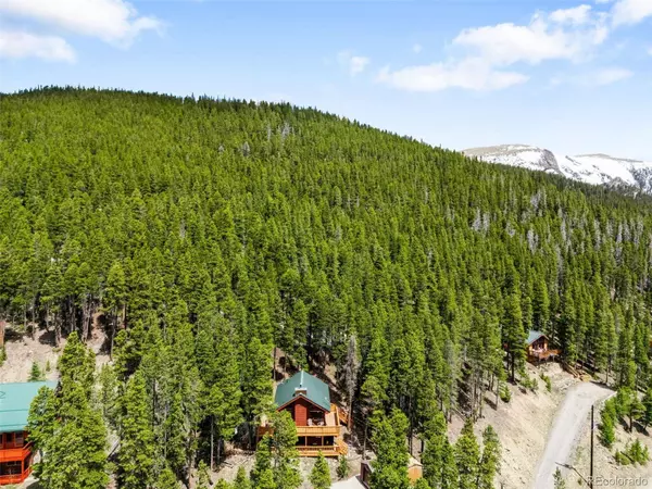 489 Harris DR, Idaho Springs, CO 80452