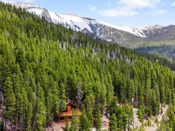 489 Harris DR, Idaho Springs, CO 80452