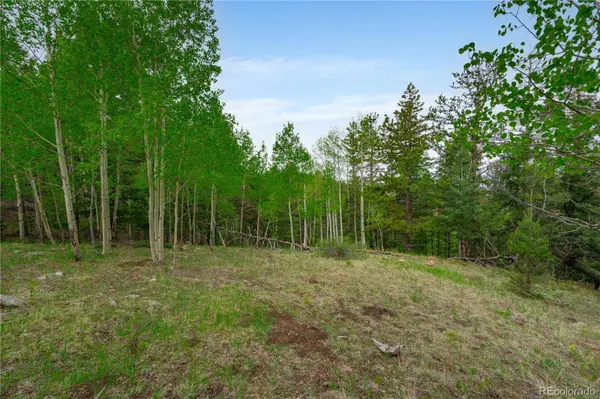 333 Stratton CIR, Cripple Creek, CO 80813