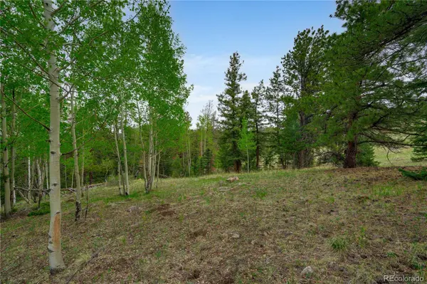 333 Stratton CIR, Cripple Creek, CO 80813