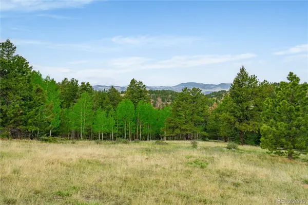 333 Stratton CIR, Cripple Creek, CO 80813