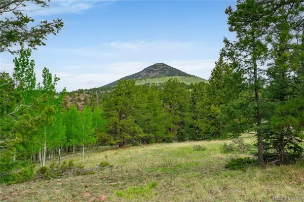 333 Stratton CIR, Cripple Creek, CO 80813