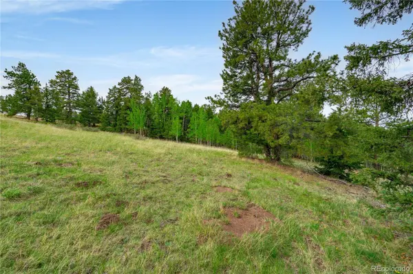 333 Stratton CIR, Cripple Creek, CO 80813