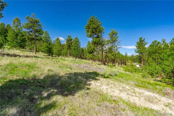 88 Bull Domingo LN, Westcliffe, CO 81252