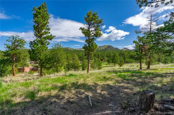 88 Bull Domingo LN, Westcliffe, CO 81252