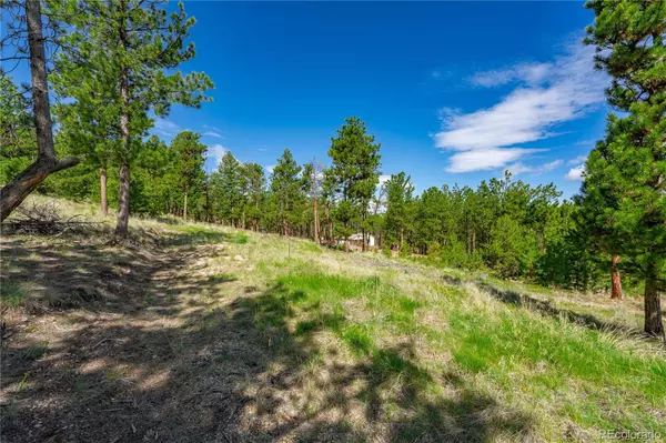 88 Bull Domingo LN, Westcliffe, CO 81252