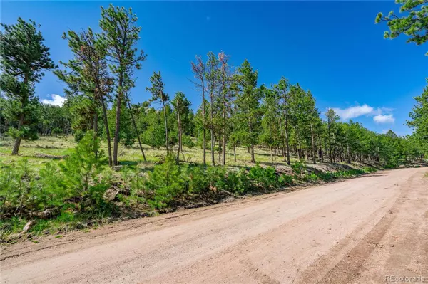 88 Bull Domingo LN, Westcliffe, CO 81252