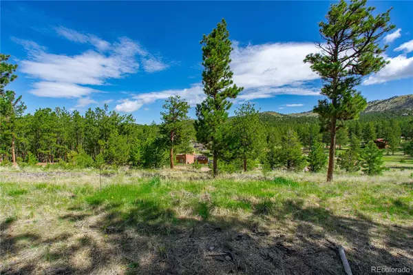 88 Bull Domingo LN, Westcliffe, CO 81252