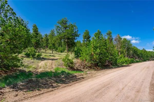 88 Bull Domingo LN, Westcliffe, CO 81252