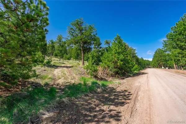 88 Bull Domingo LN, Westcliffe, CO 81252