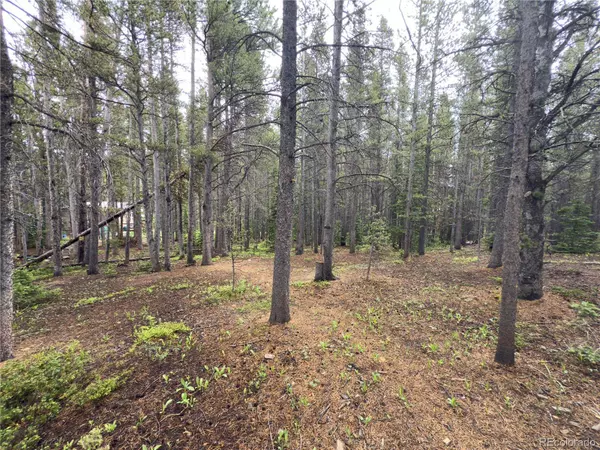 Lot 285 Lower Forest RD, Idaho Springs, CO 80452