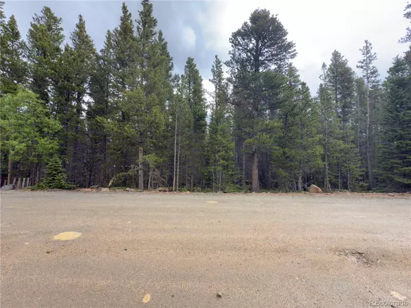 Lot 285 Lower Forest RD, Idaho Springs, CO 80452