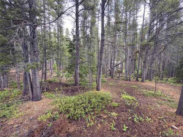 Lot 285 Lower Forest RD, Idaho Springs, CO 80452