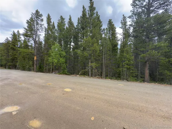 Lot 285 Lower Forest RD, Idaho Springs, CO 80452