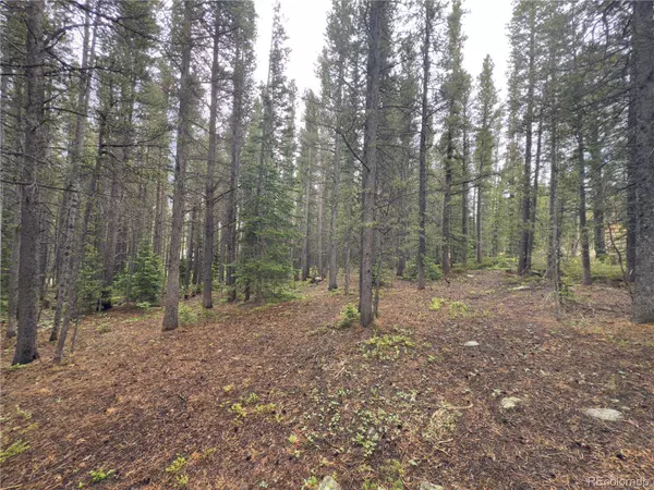 Lot 285 Lower Forest RD, Idaho Springs, CO 80452