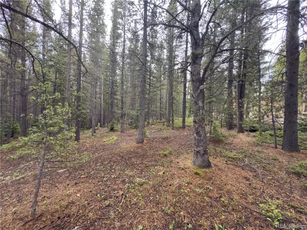Lot 285 Lower Forest RD, Idaho Springs, CO 80452