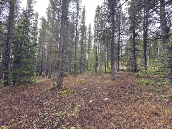 Lot 285 Lower Forest RD, Idaho Springs, CO 80452