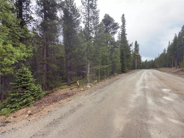 Lot 285 Lower Forest RD, Idaho Springs, CO 80452