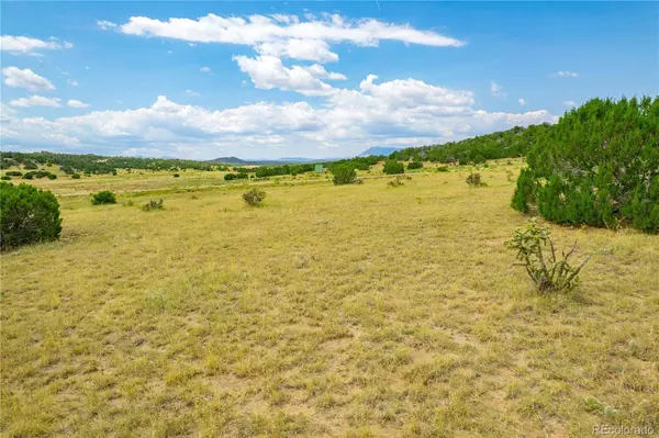 Lot 571 La Deora BLVD, Walsenburg, CO 81089