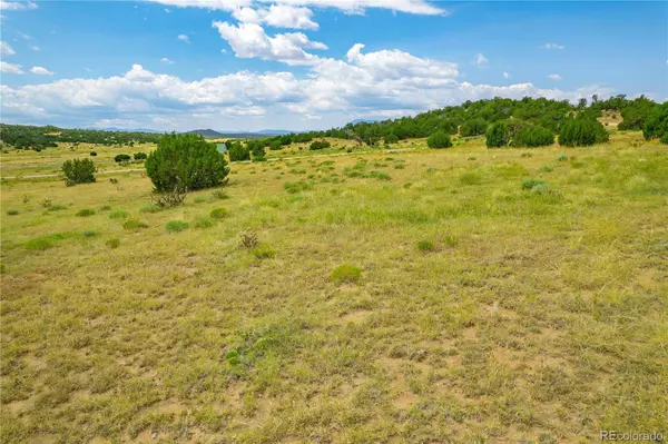 Lot 571 La Deora BLVD, Walsenburg, CO 81089