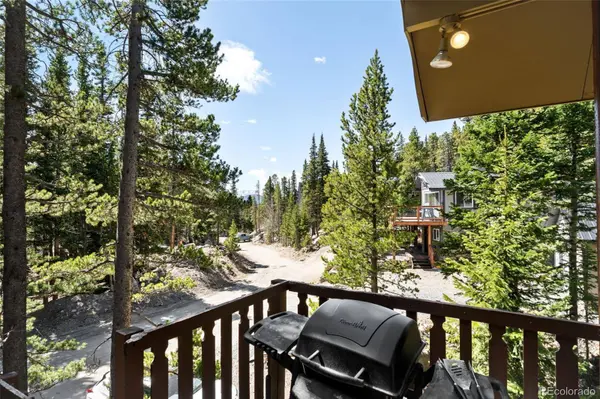 38 Brook DR, Idaho Springs, CO 80452