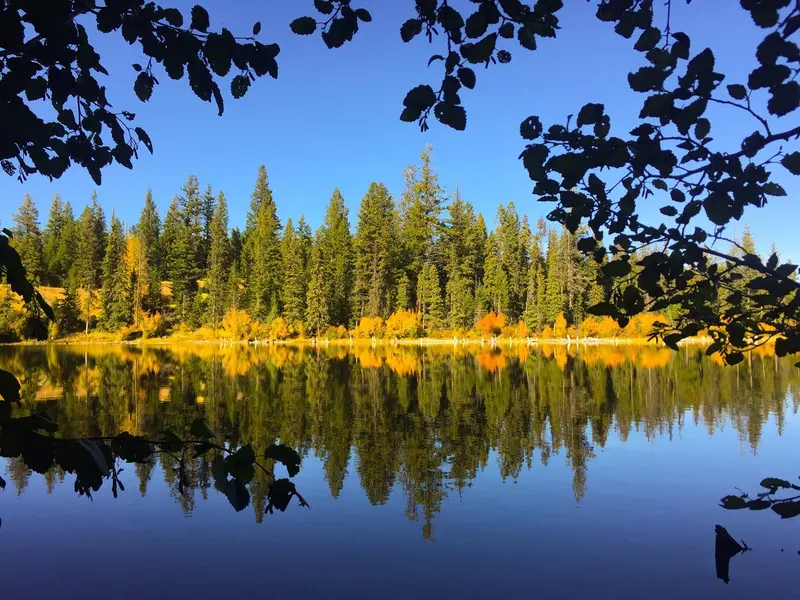 Logan Lake