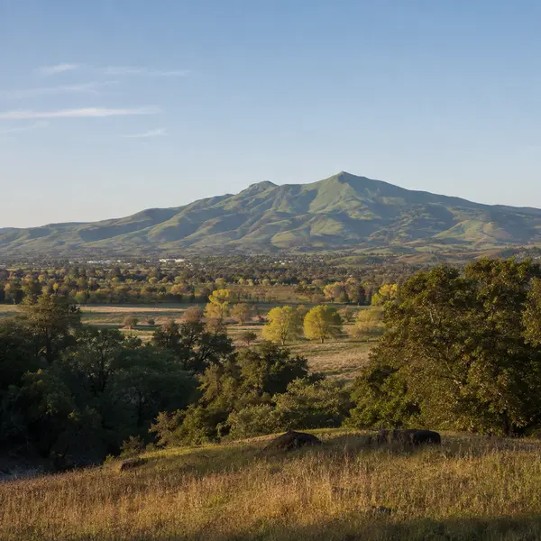 Morgan Hill