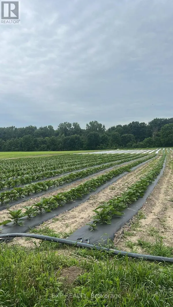 11 TUCKER STREET, Southwest Middlesex, ON N0L1Z0