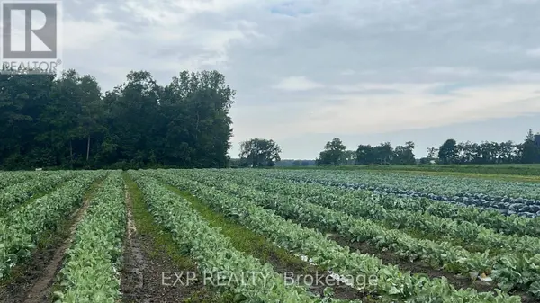 11 TUCKER STREET, Southwest Middlesex, ON N0L1Z0