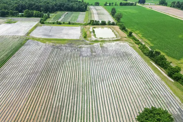 11 Tucker ST, Southwest Middlesex, ON N0L 1Z0